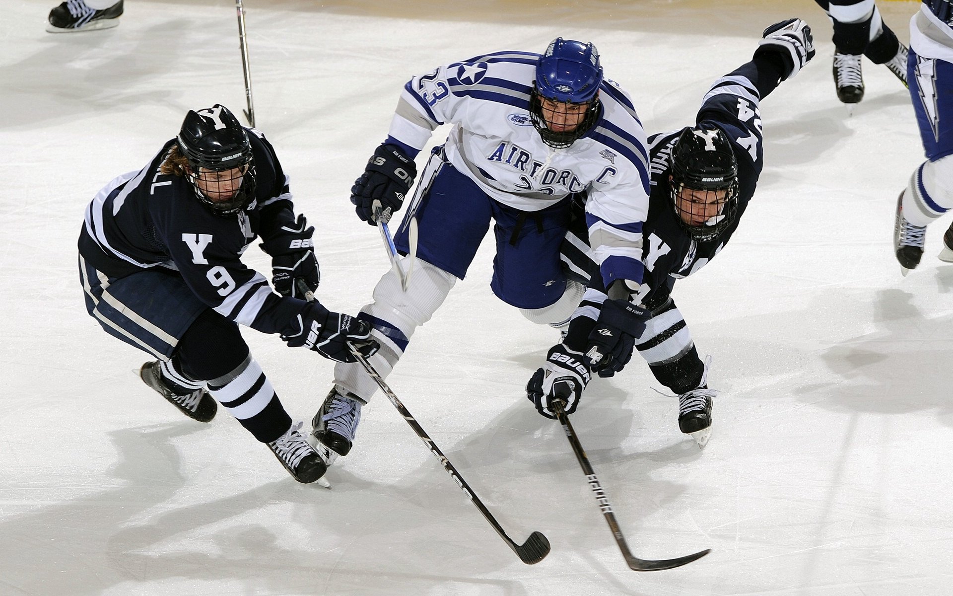 意大利女队未来潜力巨大，意大利女球迷热烈庆祝夺冠
